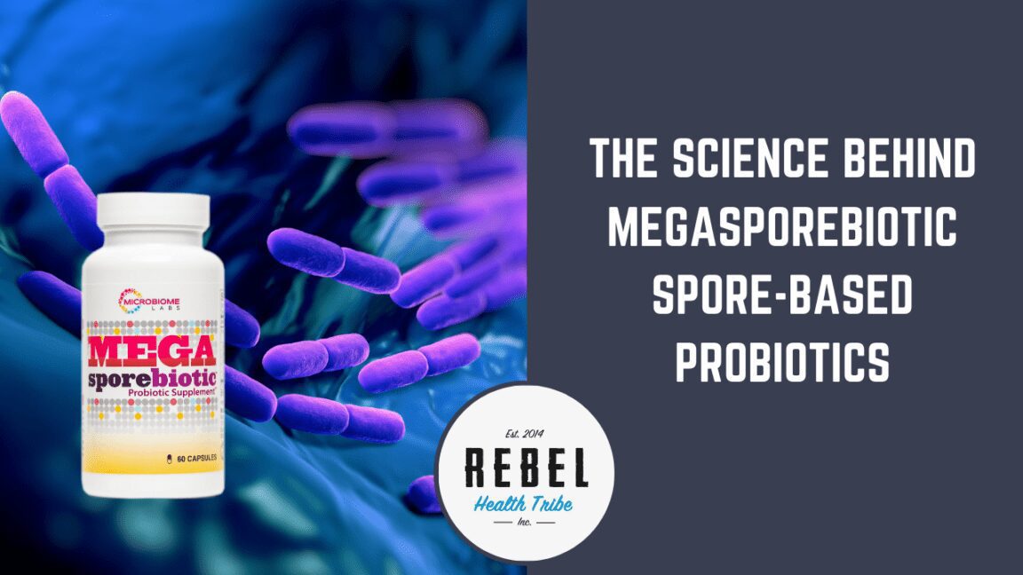 megaspore probiotics benefits